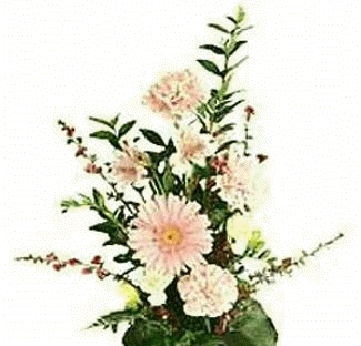 http://www.eimi.com/images/beerich/flowers.gif